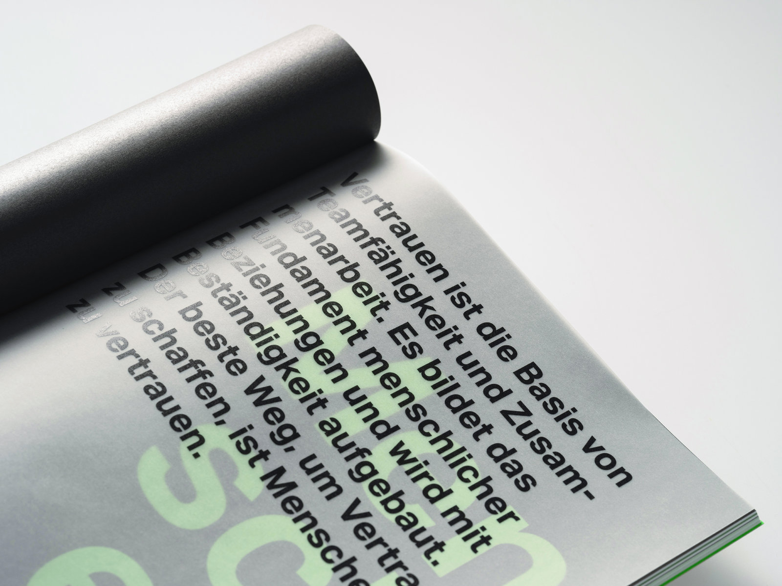 ergon_magazin_05